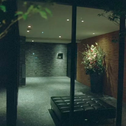 Drop Ceiling Design Principles to Elevate Your Basement Renovation