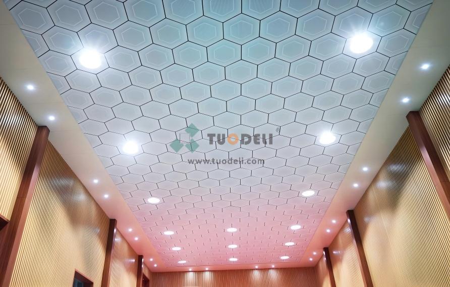 Aluminum Hexagon Tile Ceiling-TUODELI