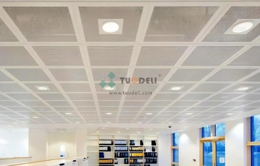 1 Metal Clip in Tile Ceiling