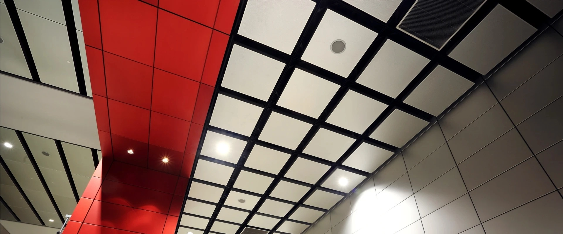 TUODELI ceiling