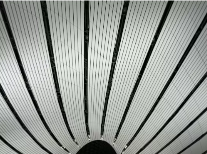 white and black ceiling.webp