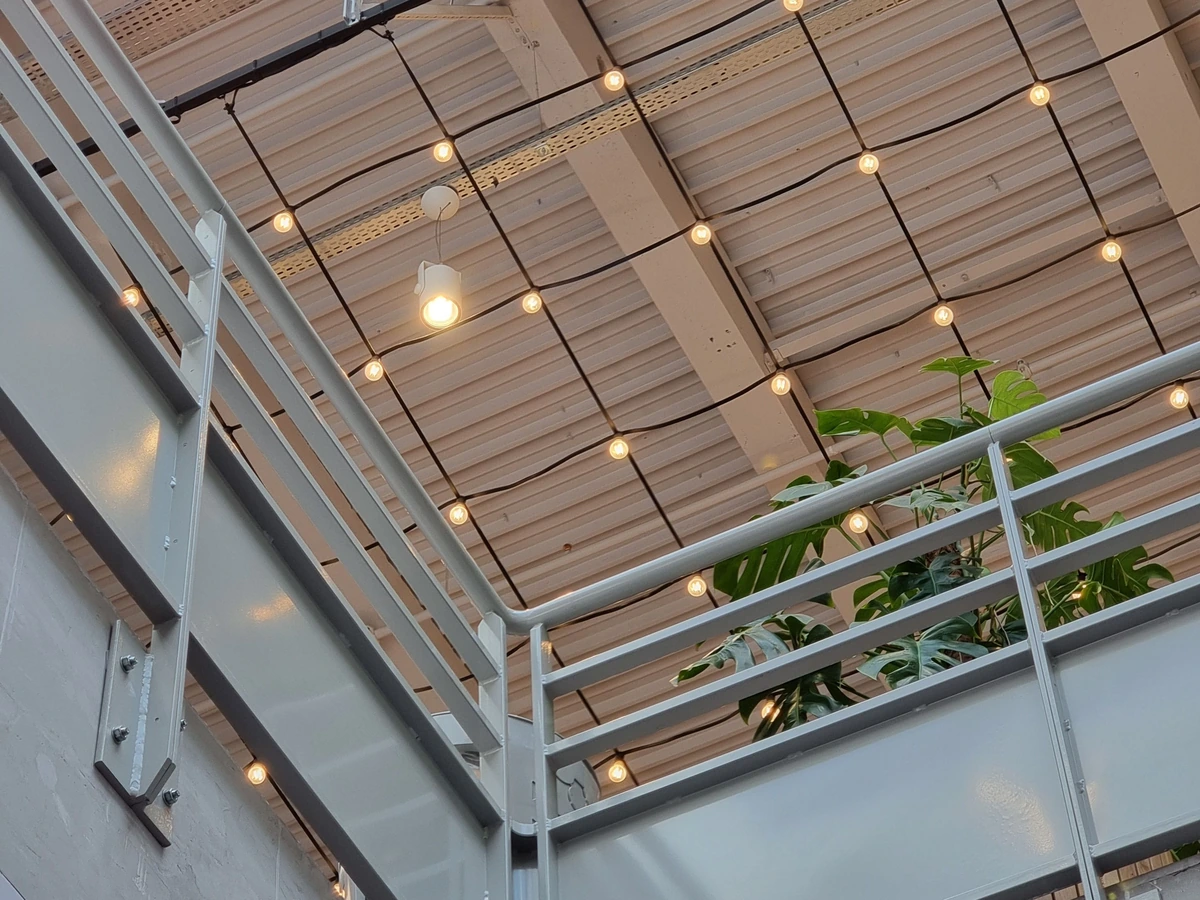 Mesh Ceiling Lighting Coordination.webp