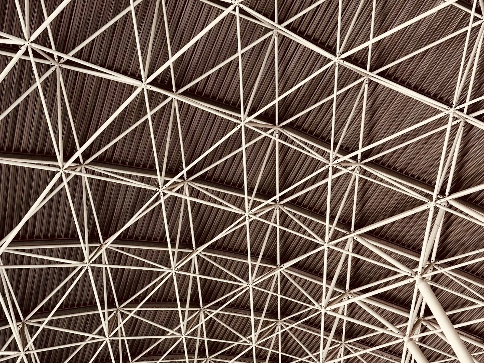 1783411261183181.webp 6 Benefits of Using Acoustic Trellis Ceilings in a Commercial Space.webp
