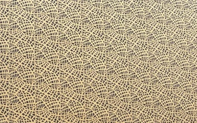 patterned panel on the single skin facade page.webp