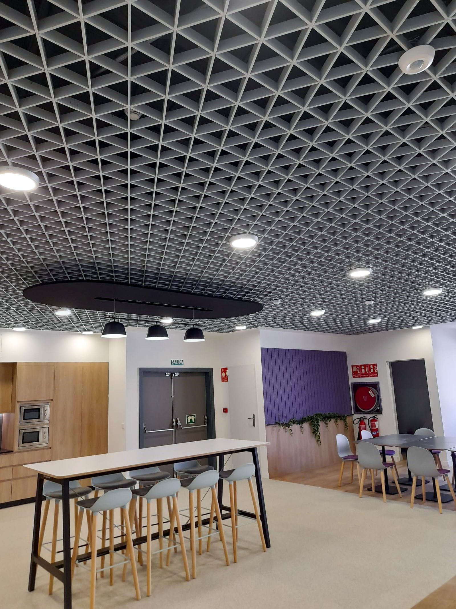 1793356431313811.jpeg open cell metal ceiling with lights and sprinklers in an office.jpeg